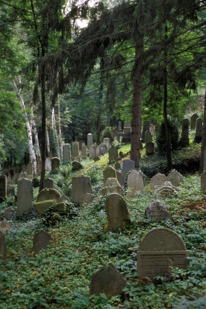Jewish CemeteryTrebic, Czech Republic