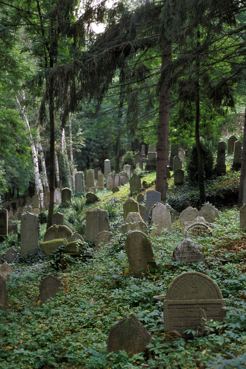 bill-hocker-jewish-cemetery-trebic-czech-republic-2005