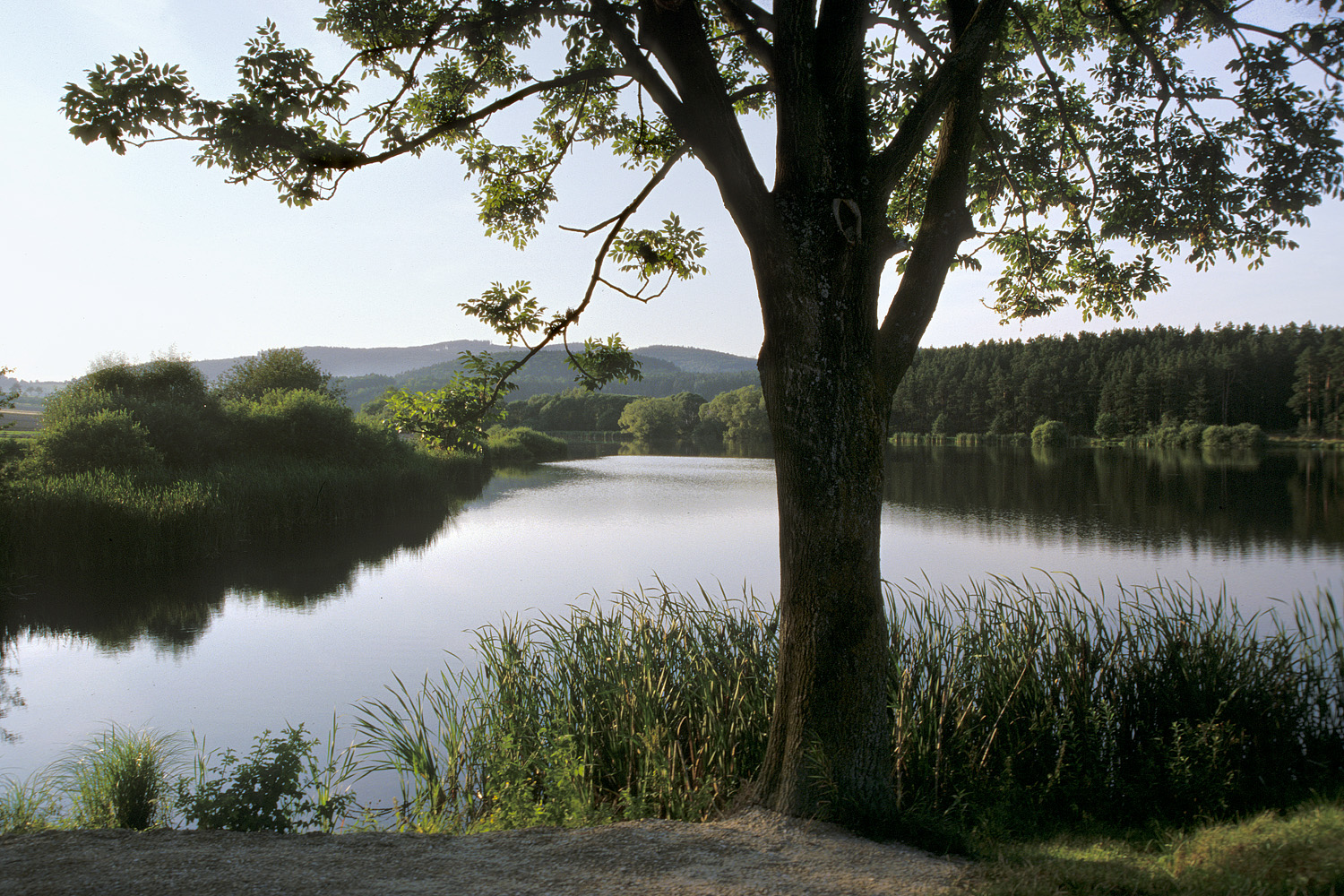 bill-hocker--czech-republic-2005
