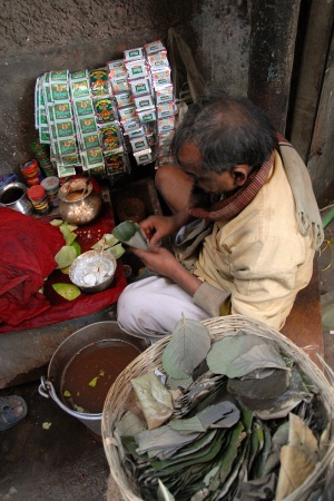 Paan (Prepared Betel Nut) VendorNew Delhi, India