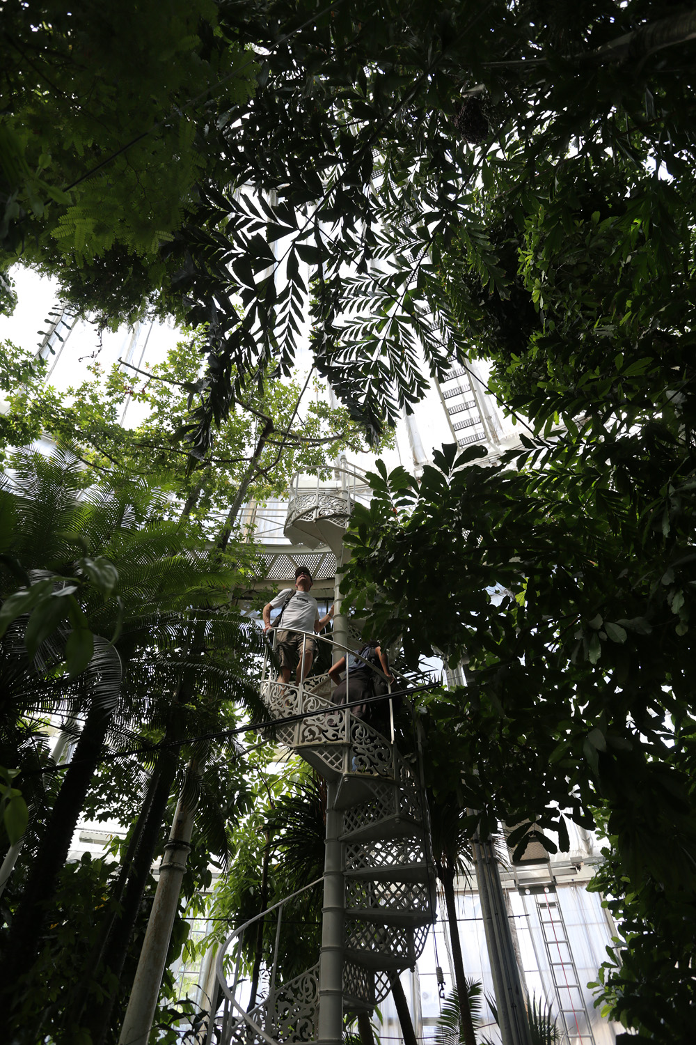 bill-hocker-botanic-garden-greenhouse-copenhagen-dnmark-2019