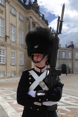Palace Guard
Amalienborg
Copenhagen, Denmark