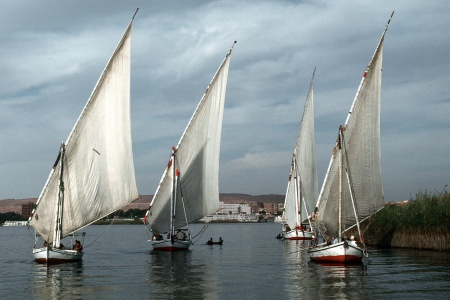 FeluccasAswan, Egypt
