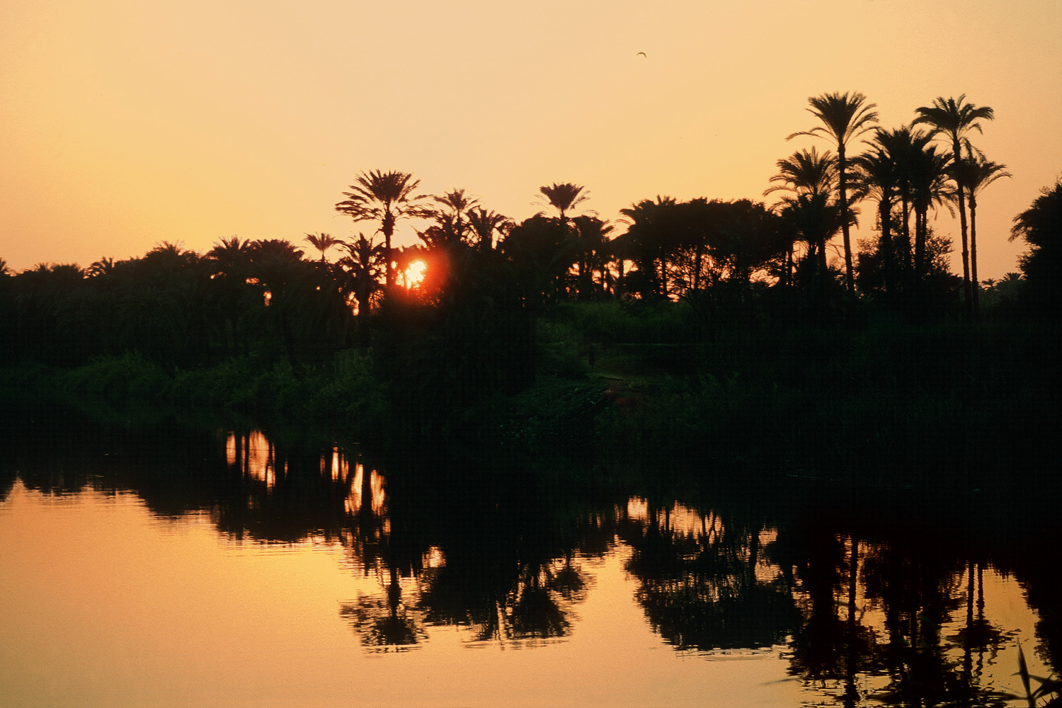 bill-hocker-eternal-nile-egypt-1998