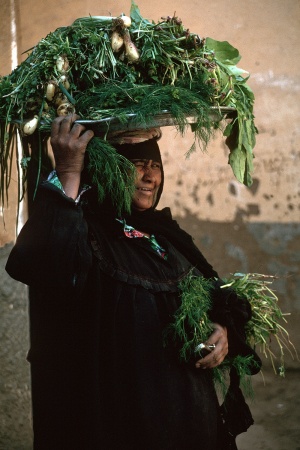 VegetablesElephantine Island, Egypt