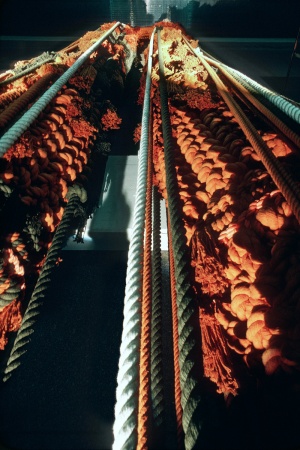 Barbara Shawcroft, textile artist
Legs
Embarcadero BART Station
San Francisco, California