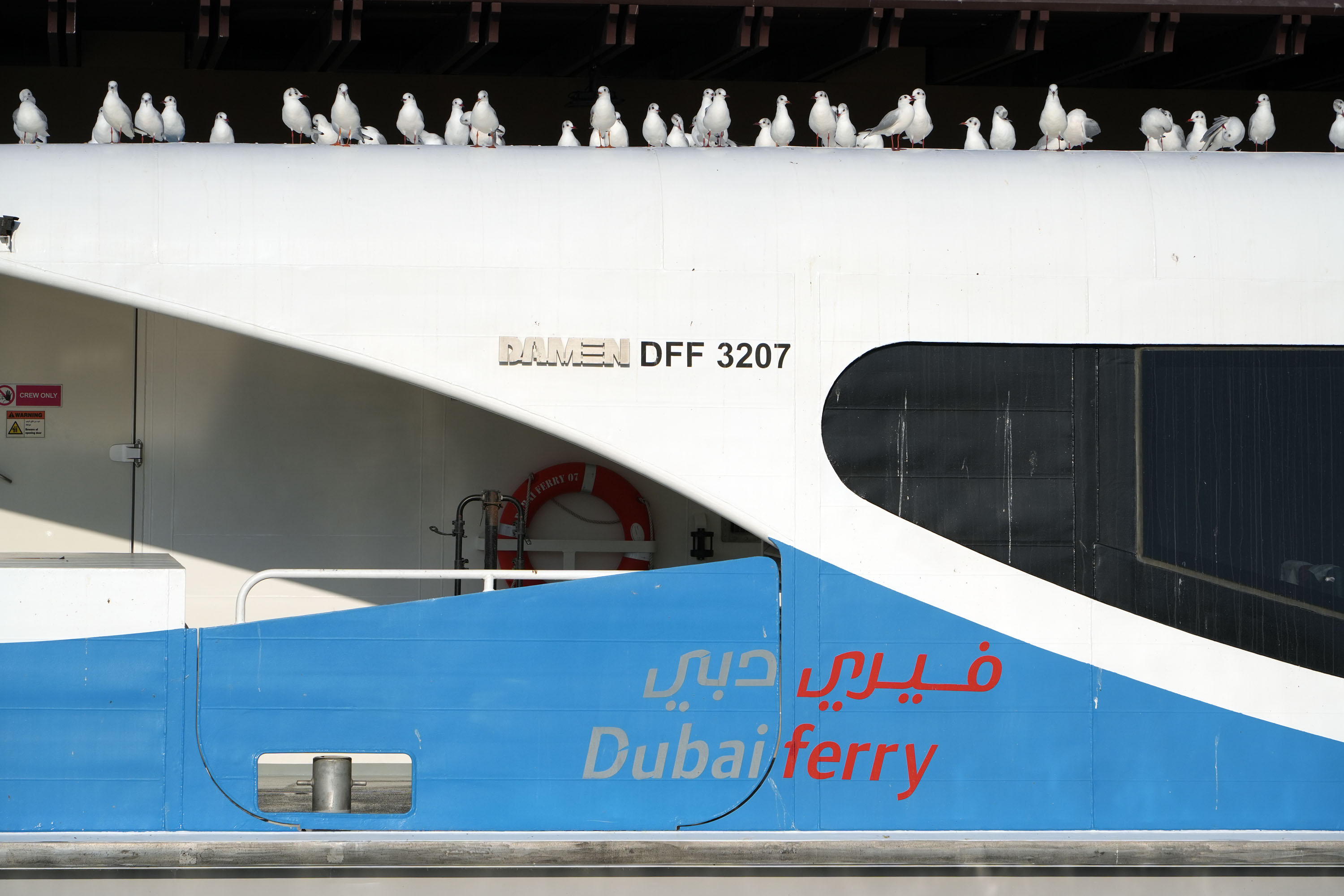bill-hocker-dubai-ferry-dubia-uae-2024