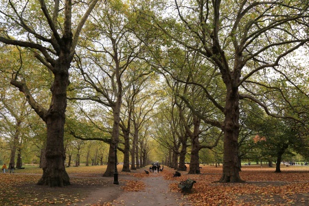 Green Park
London, England