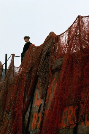 Drying NetsFolkestone, England