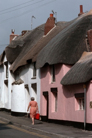 	More ThatchSalcombe, England