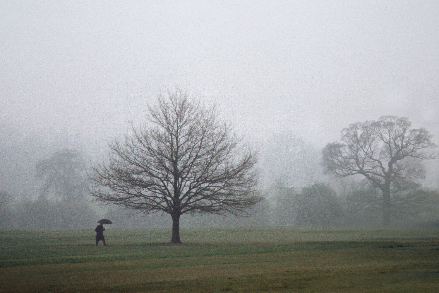 bill-hocker-hampstead-heath-london-england-1972