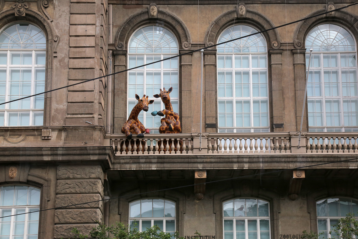 bill-hocker-natural-history-museum-helsinki-finland-2019
