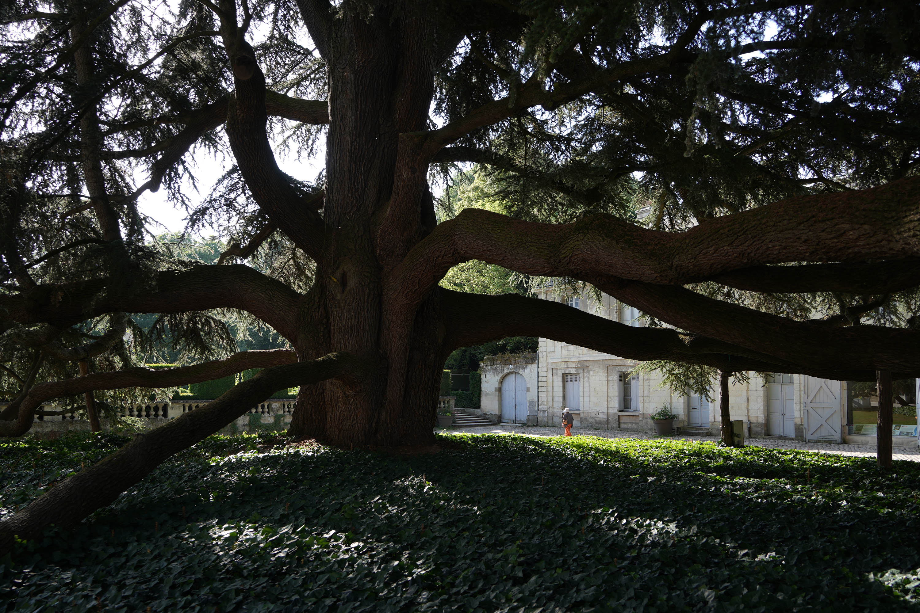bill-hocker-jardin-du-musée-des--beaux-arts-tours-france-2025