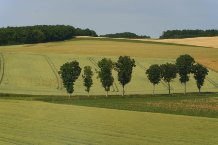 From the Train
Central France