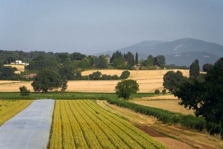 From the Train
Central France