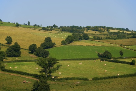 From the Train
Central France