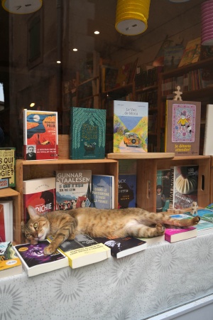The Book Village
Montoleu, France