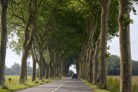 Near Carcassonne, France