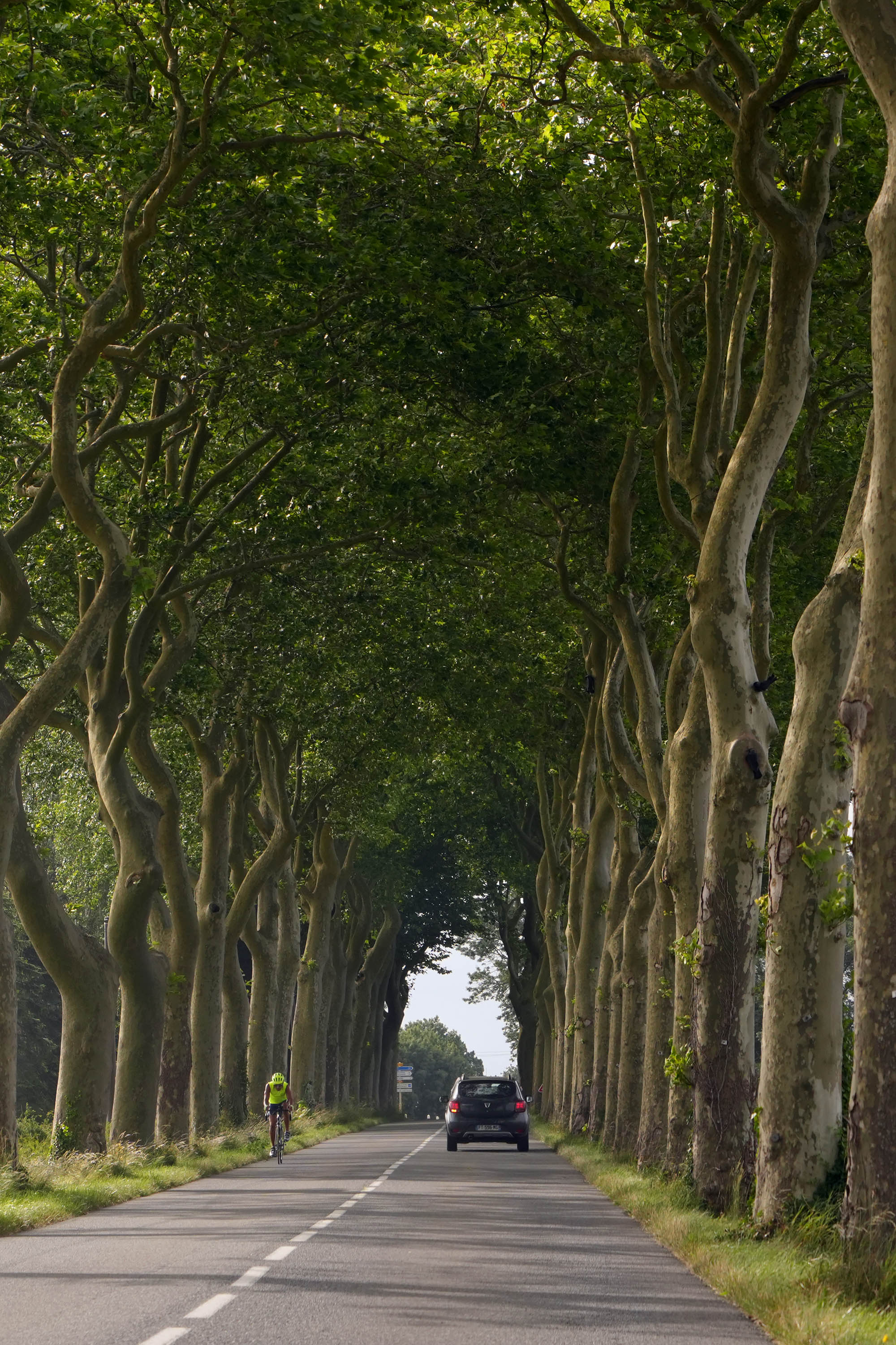 bill-hocker-near-carcassonne-langedoc-france-2025
