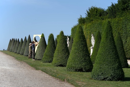 Topiary Trees
Versailles, France