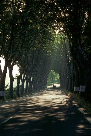 Roadway
Provence, France