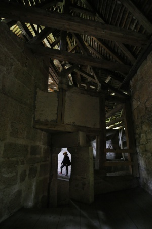 City Wall
Rothenburg, Germany
