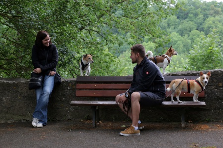 Burggarten
Rothenburg, Germany