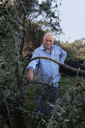 Olive Grower
Corfu, Greece