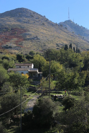 Perithia
Corfu, Greece