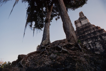 Tikal, Guatemala