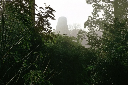 Tikal, Guatemala