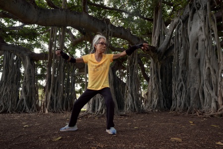 Tai Chi, Diamond Love Tree
Kapi'olani Park,
Honolulu, Hawaill