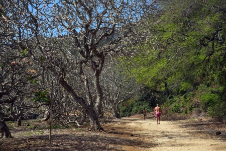 Koko Crater Botanical Garden
Oahu, Hawai'i