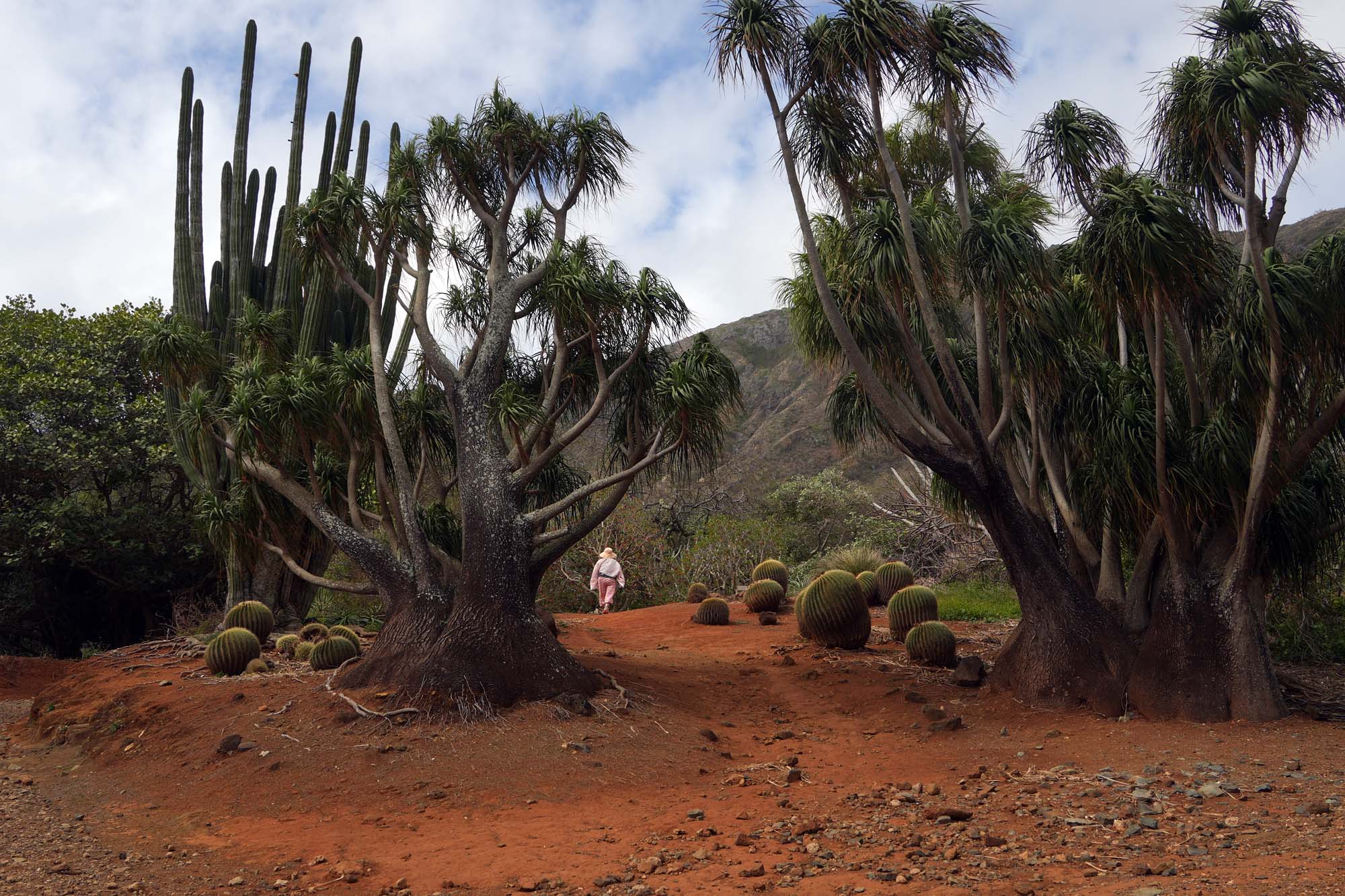 bill-hocker-koko-crater-botanical-garden-oahu-hawai'i-2024