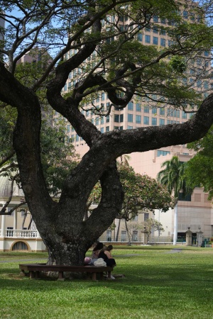 Iolani Palace Grounds
Honolulu, Hawai'i