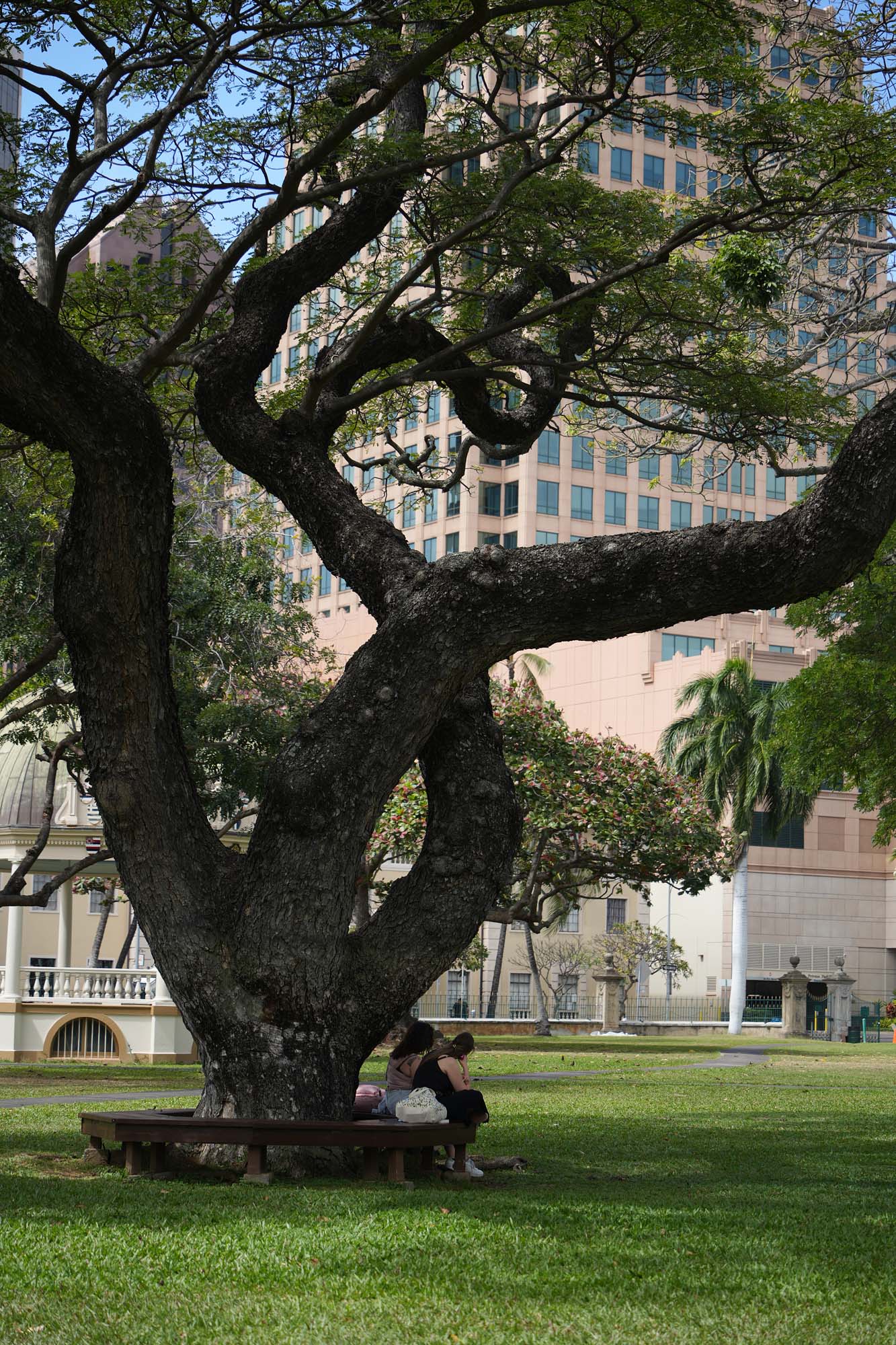 bill-hocker-iolani-palace-grounds-honolulu-hawai'i-2024