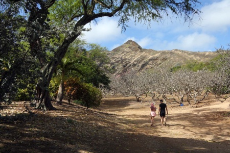 Koko Crater Botanical Garden
Oahu, Hawai'i