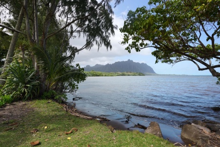 Waiahole Beach
Oahu, Hawai'i