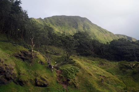 Above Pali Lookout
Oahu, Hawai'i