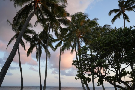Maunaloa Bay
Honolulu, Hawai'i