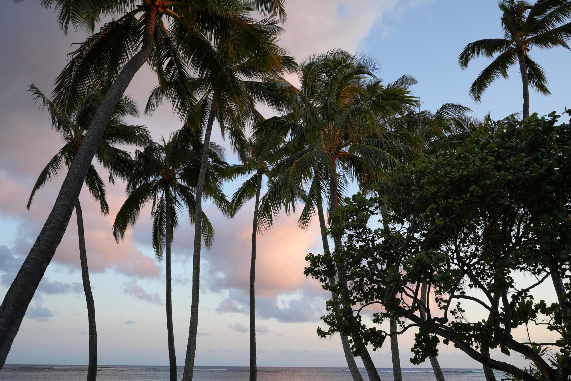 bill-hocker-maunaloa-bay--honolulu-hawai'i-2024