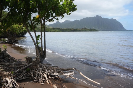 Waiahole Beach
Oahu, Hawai'i