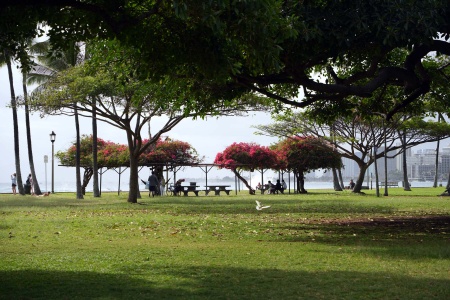 Sans Souci Park
Honolulu, Hawai'i