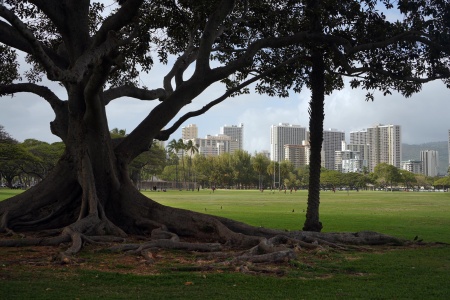 Kapi'olani Park
Honolulu, Hawai'i