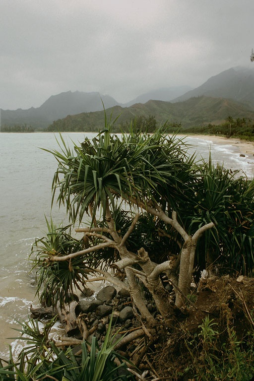 bill-hocker-hanalei-bay-kauai--hawai'i