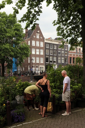 Garden
Amsterdam, Holland