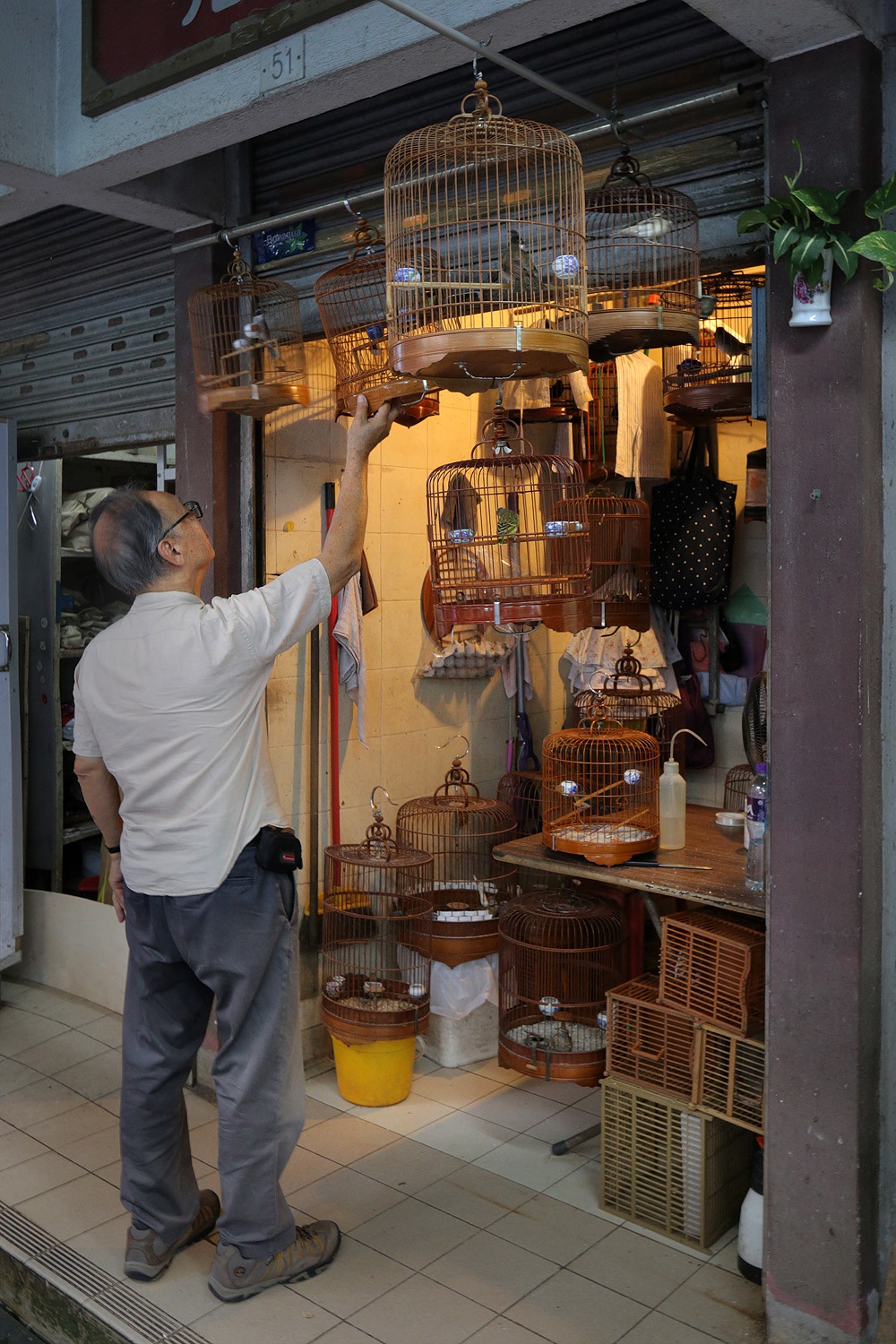 bill-hocker-bird-market-mong-kok-kowloon-hong-kong-2017