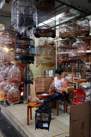 Bird Market
Mong Kok
Kowloon, Hong Kong
