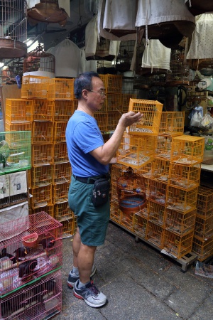 Bird Market
Mong Kok
Kowloon, Hong Kong