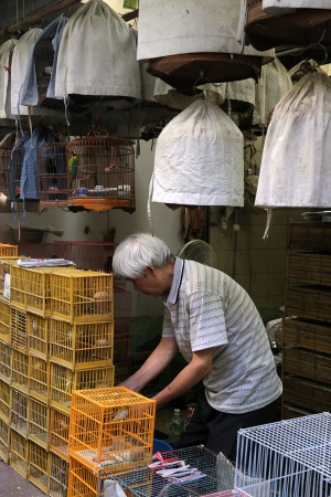 Bird Market
Mong Kok
Kowloon, Hong Kong